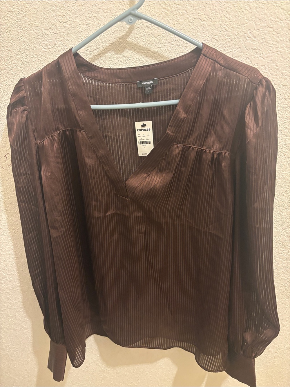 Express Brown V-Neck Sheer Long Sleeve Blouse